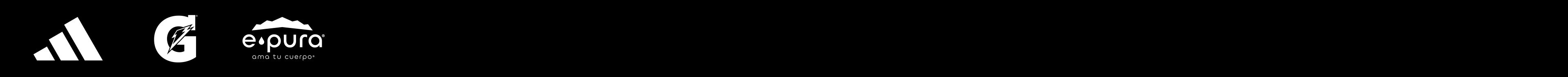Navbar